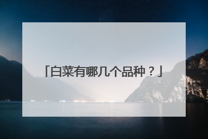 白菜有哪几个品种?