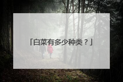 白菜有多少种类?