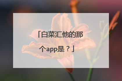 白菜汇他的那个app是?