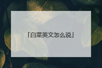 白菜英文怎么说