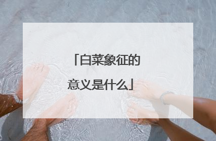 白菜象征的意义是什么
