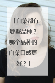白菜都有哪些品种?哪个品种的白菜口感更好?