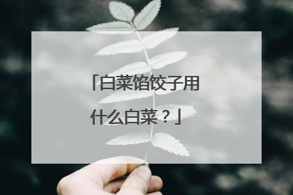 白菜馅饺子用什么白菜?