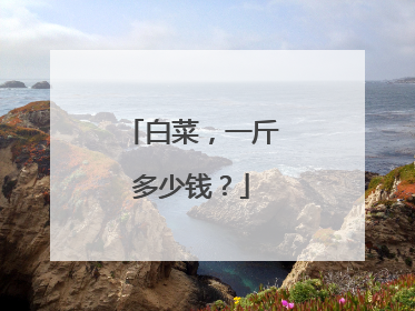 白菜,一斤多少钱?