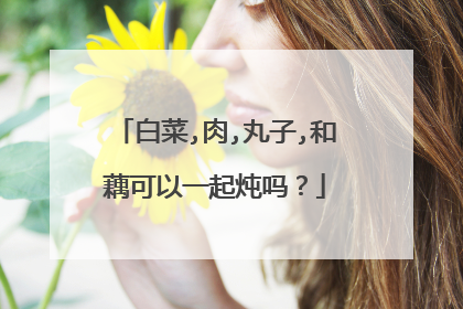 白菜,肉,丸子,和藕可以一起炖吗?