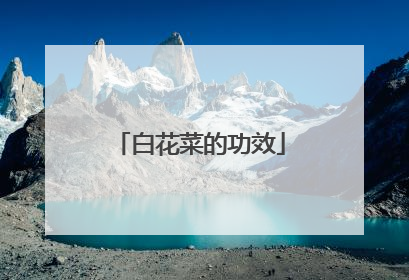 白花菜的功效