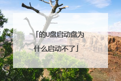 的U盘启动盘为什么启动不了