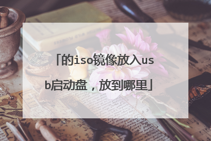 的iso镜像放入usb启动盘，放到哪里