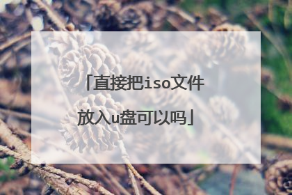 直接把iso文件放入u盘可以吗