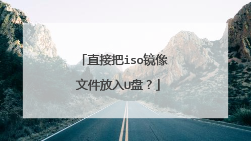 直接把iso镜像文件放入U盘?