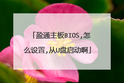 盈通主板BIOS,怎么设置,从U盘启动啊