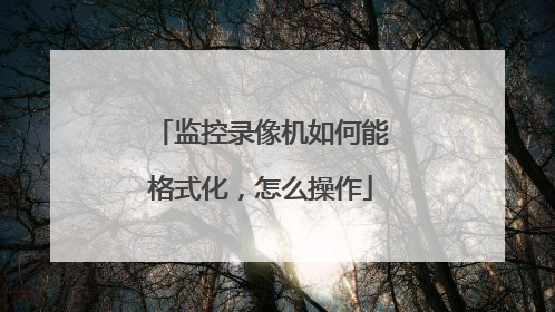 监控录像机如何能格式化,怎么操作