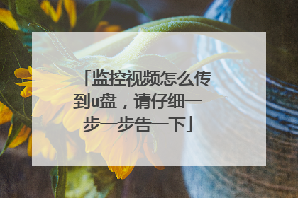 监控视频怎么传到u盘,请仔细一步一步告一下