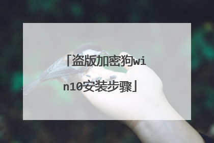 盗版加密狗win10安装步骤