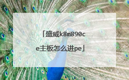 盛威k8m890ce主板怎么进pe
