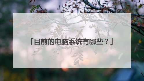 目前的电脑系统有哪些?
