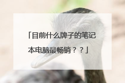 目前什么牌子的笔记本电脑最畅销??
