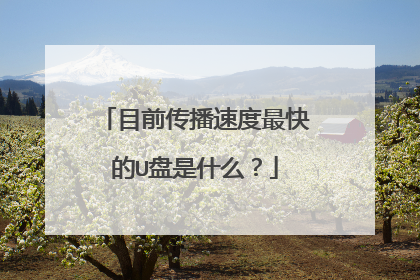 目前传播速度最快的U盘是什么?