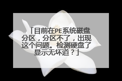 目前在PE系统磁盘分区,分区不了,出现这个问题。检测硬盘了显示无坏道?