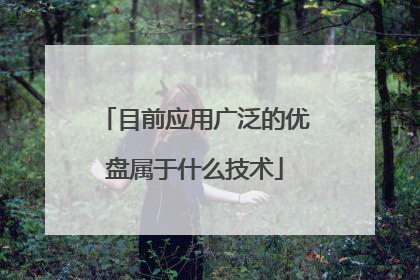 目前应用广泛的优盘属于什么技术