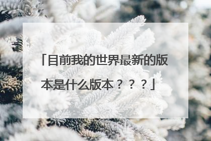 目前我的世界最新的版本是什么版本？？？