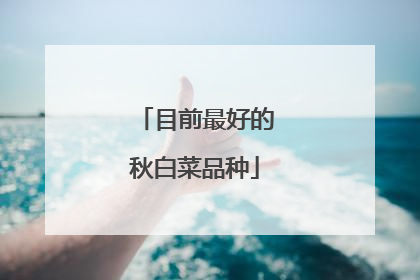 目前最好的秋白菜品种