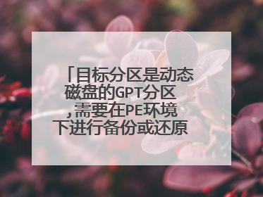 目标分区是动态磁盘的GPT分区,需要在PE环境下进行备份或还原。这个怎么弄啊求大神阿~