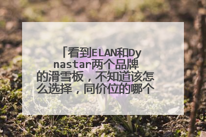 看到ELAN和Dynastar两个品牌的滑雪板,不知道该怎么选择,同价位的哪个推荐个性价比高呢,滑双板,谢谢了