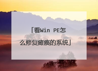 看Win PE怎么修复瘫痪的系统