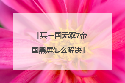 真三国无双7帝国黑屏怎么解决