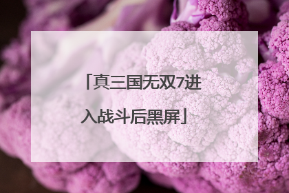 真三国无双7进入战斗后黑屏