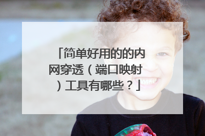 简单好用的的内网穿透(端口映射)工具有哪些?