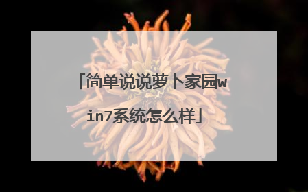 简单说说萝卜家园win7系统怎么样