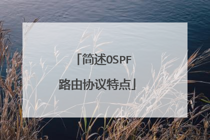 简述OSPF路由协议特点