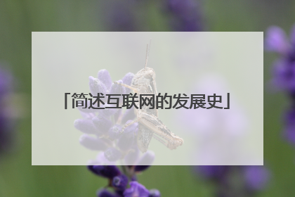 简述互联网的发展史