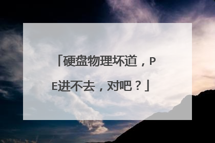 硬盘物理坏道,PE进不去,对吧?