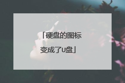 硬盘的图标变成了U盘