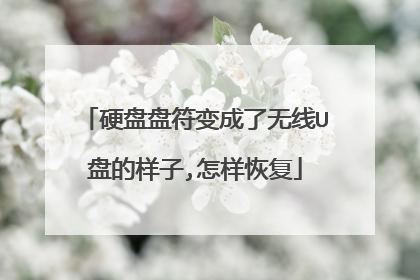 硬盘盘符变成了无线U盘的样子,怎样恢复