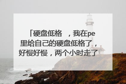 硬盘低格 ,我在pe里给自己的硬盘低格了,好慢好慢,两个小时走了三格,我想知道我这个进度条走完之后