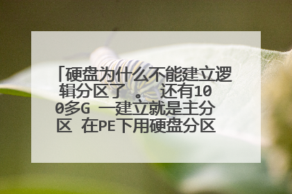 硬盘为什么不能建立逻辑分区了 。 还有100多G 一建立就是主分区 在PE下用硬盘分区精灵也只能建立主分区
