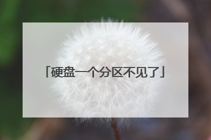 硬盘一个分区不见了