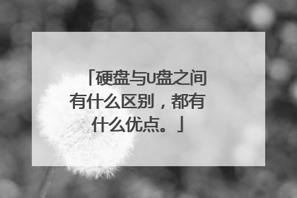 硬盘与U盘之间有什么区别,都有什么优点。