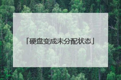 硬盘变成未分配状态