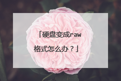 硬盘变成raw格式怎么办?
