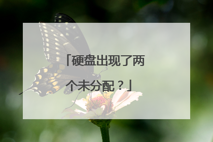 硬盘出现了两个未分配?