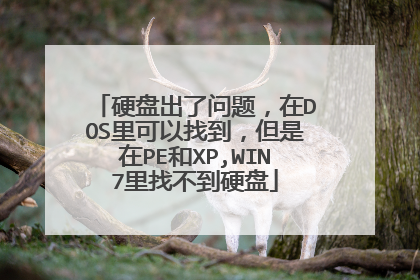 硬盘出了问题,在DOS里可以找到,但是在PE和XP,WIN7里找不到硬盘