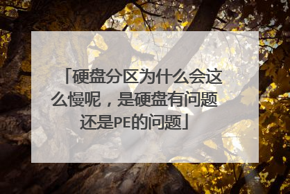 硬盘分区为什么会这么慢呢，是硬盘有问题还是PE的问题