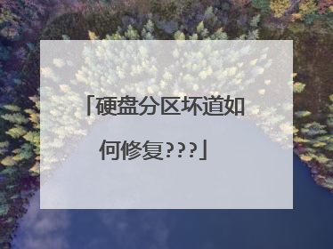 硬盘分区坏道如何修复???
