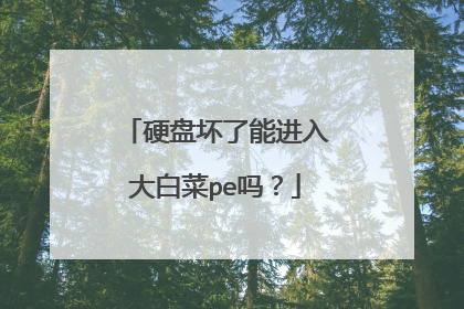 硬盘坏了能进入大白菜pe吗？