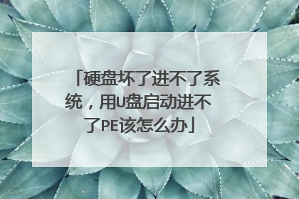 硬盘坏了进不了系统,用U盘启动进不了PE该怎么办